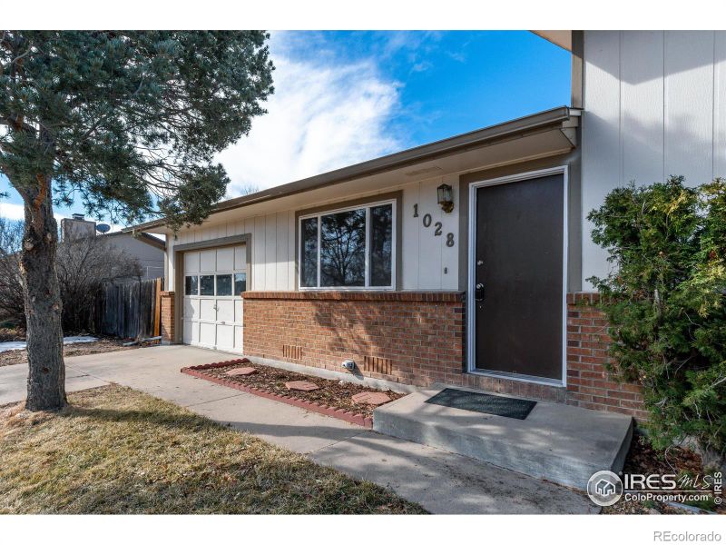 1028 Larch Dr, Windsor, CO 80550