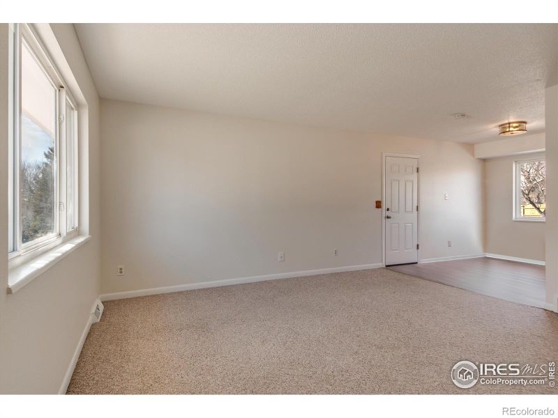 1028 Larch Dr, Windsor, CO 80550