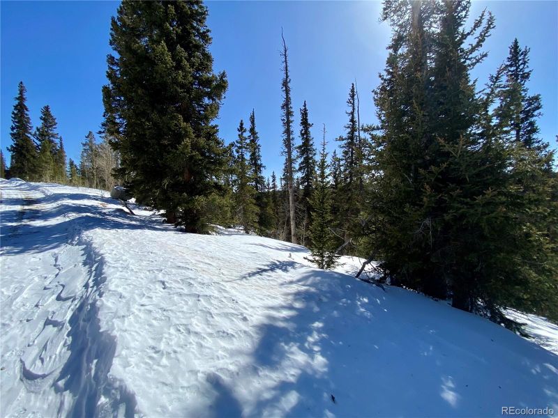210 Guymard Rd Lot 1196, Fairplay, CO 80440