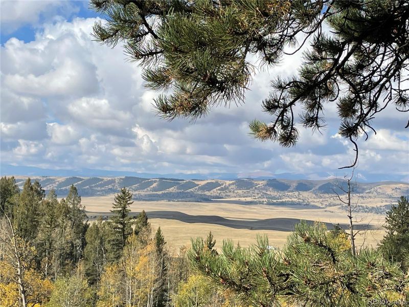 1311 Caracara Ln, Como, CO 80432