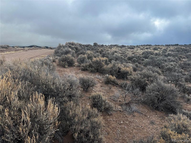 4179 Shepley Rd Lot 4179, Fort Garland, CO 81133