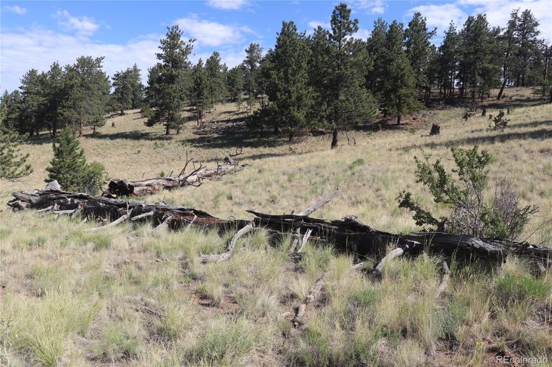 2206 Windmill Dr Lot 1365, Hartsel, CO 80449