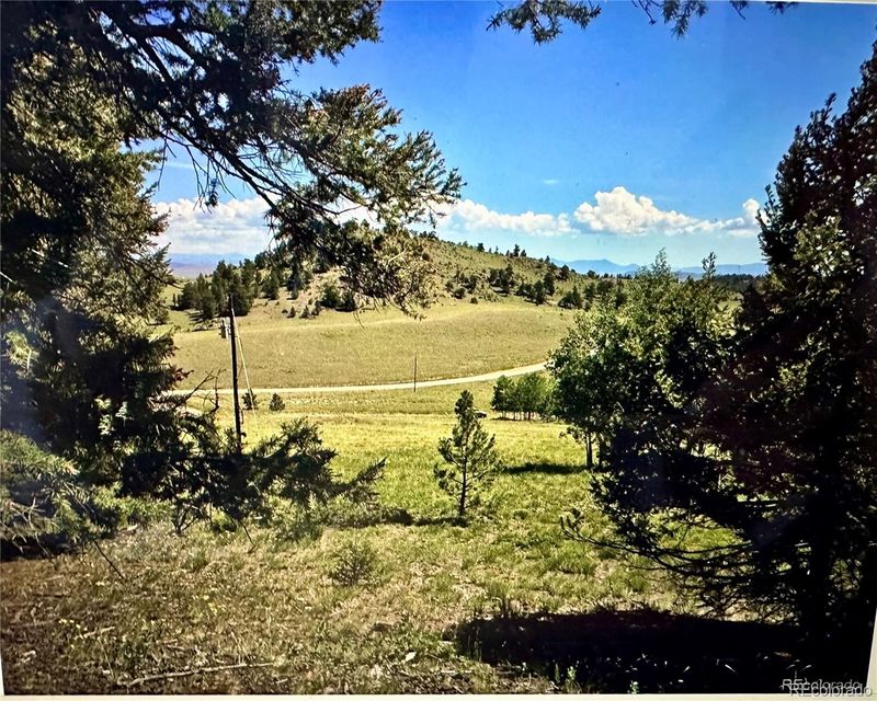 54 Blacksmith Rd, Hartsel, CO 80449