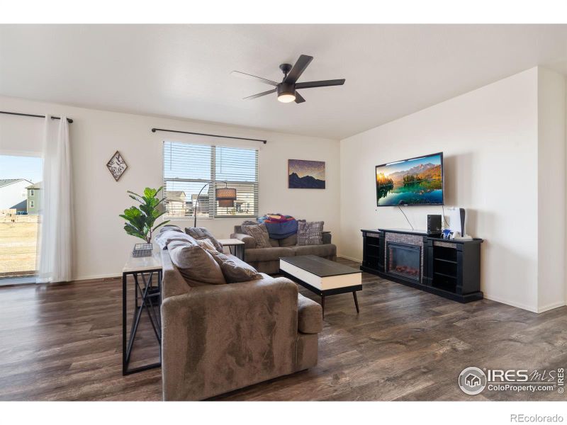 909 Camberly Dr, Windsor, CO 80550