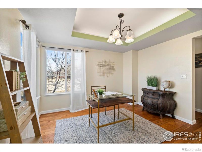 1037 Medicine Man Ct, Windsor, CO 80550