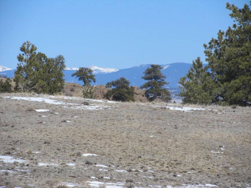 237 Black Beaver Rd Lot 76, Hartsel, CO 80449