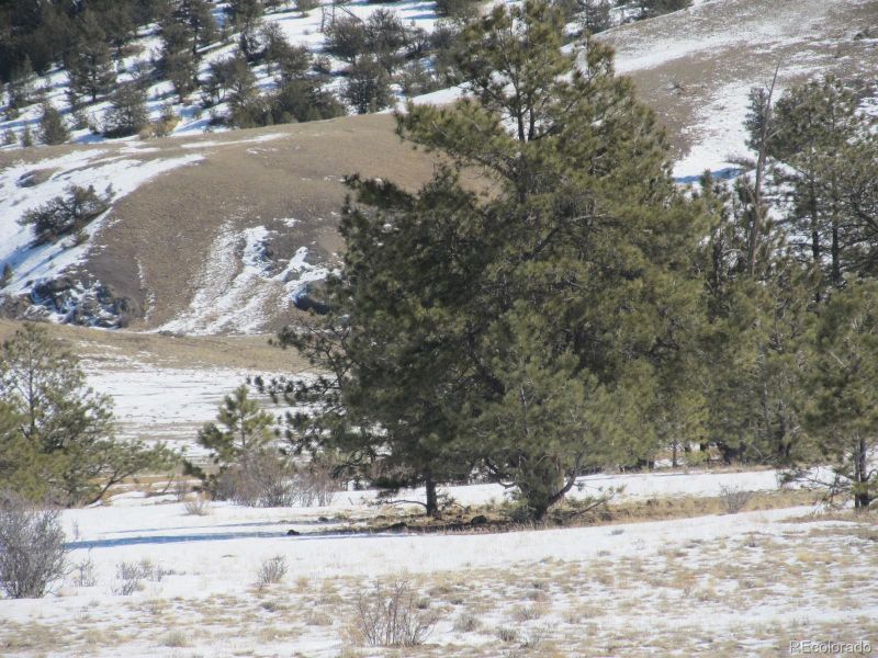 237 Black Beaver Rd Lot 76, Hartsel, CO 80449