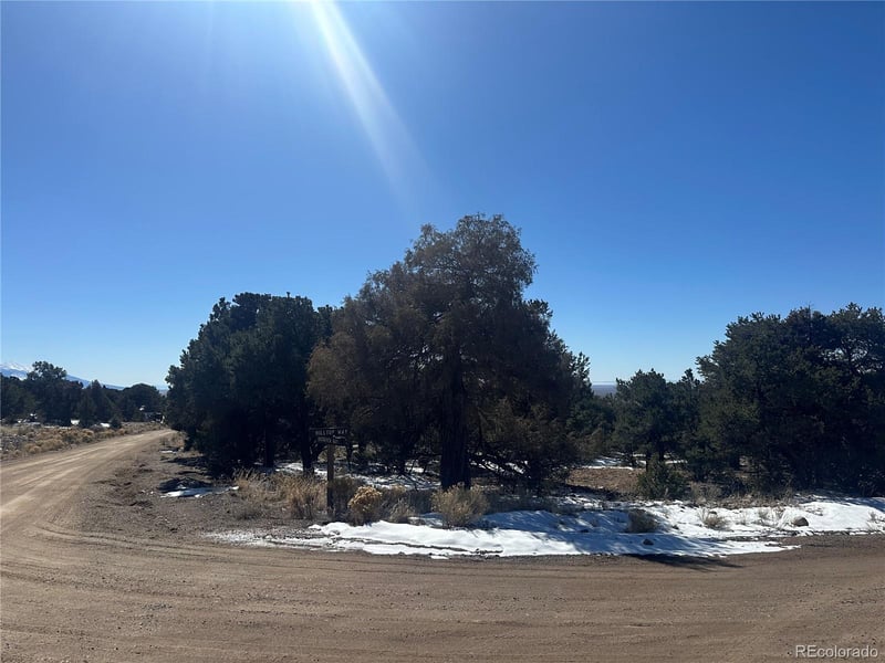 1223 Brookview Way, Crestone, CO 81131