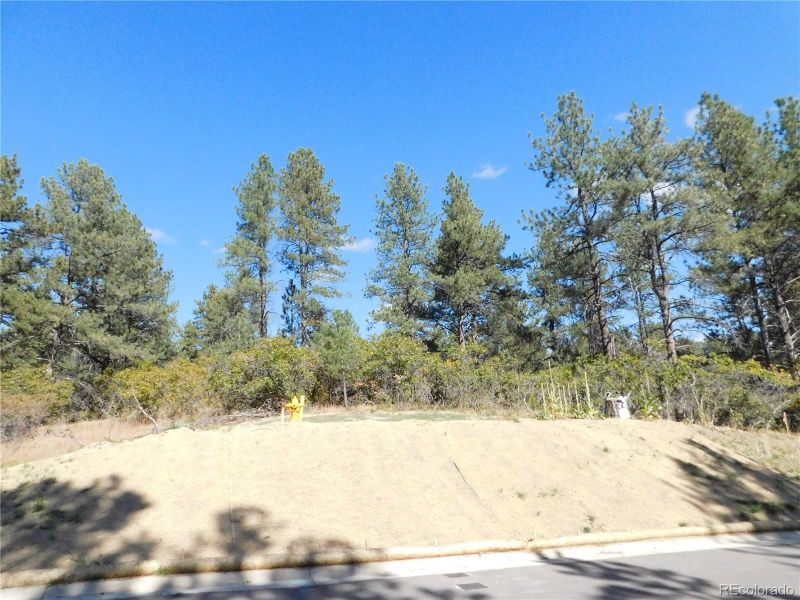 691 Poncho Rd, Larkspur, CO 80118
