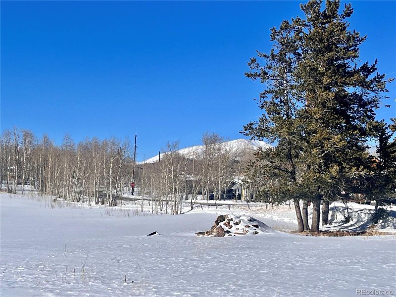 000 Beaver Creek Rd, Fairplay, CO 80440