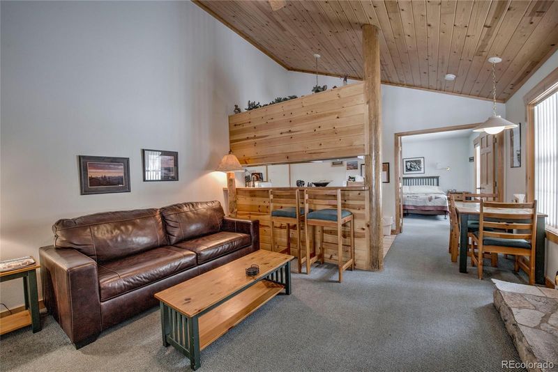 1A Lost Mine Loop, Leadville, CO 80461