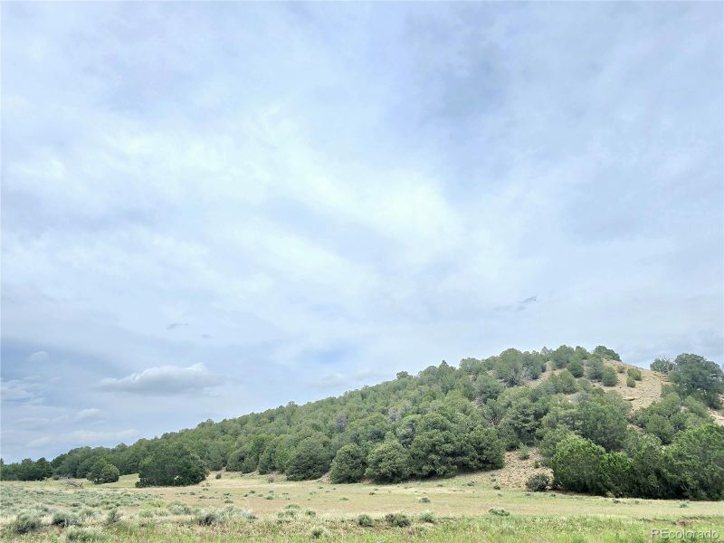 Lot 127 River Ridge Ranch Phase #5, Walsenburg, CO 81089