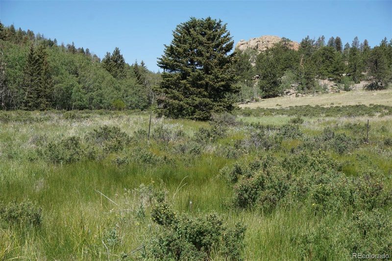 321 Forest Ln, Lake George, CO 80827
