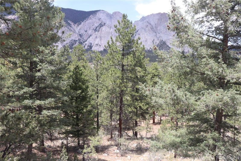 Falcon Dr Lot 10, Nathrop, CO 81236