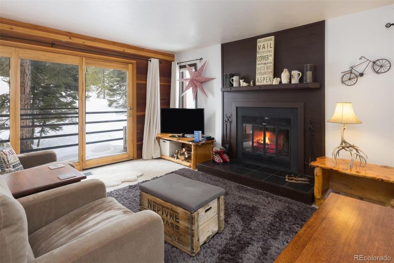 91100 Ryan Gulch Rd #91107, Silverthorne, CO 80498
