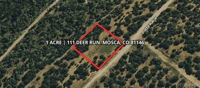 111 Deer Rn, Mosca, CO 81146