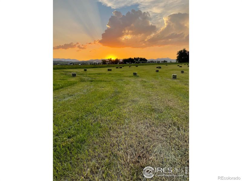 4320 N County Road 19, Fort Collins, CO 80524