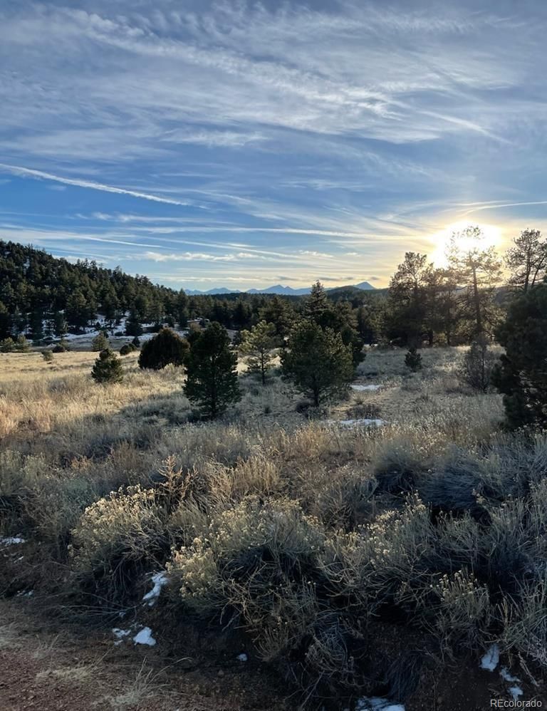 324 Laramie Loop, Cotopaxi, CO 81223
