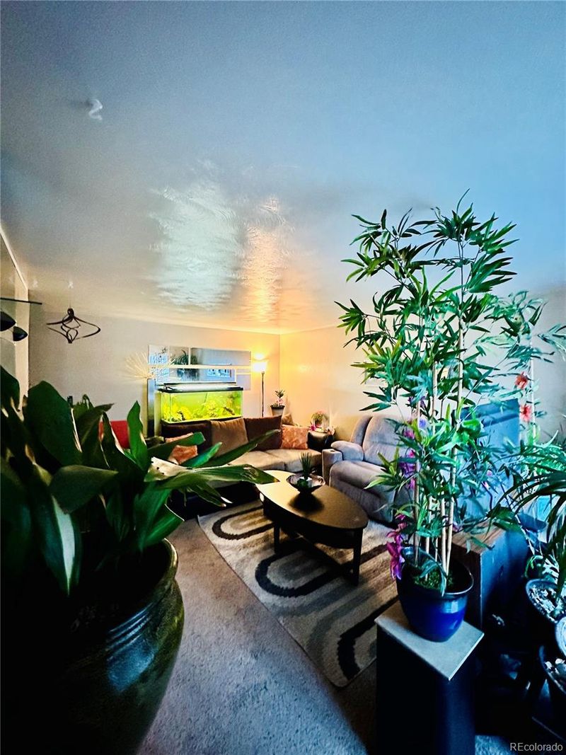 662 S Tejon St, Denver, CO 80223
