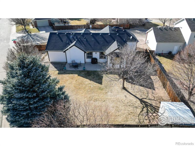 579 Southwood Ln, Windsor, CO 80550