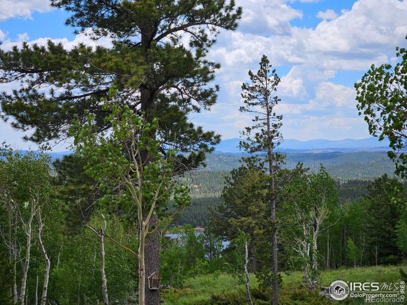 1294 Osage Trl, Red Feather Lakes, CO 80545