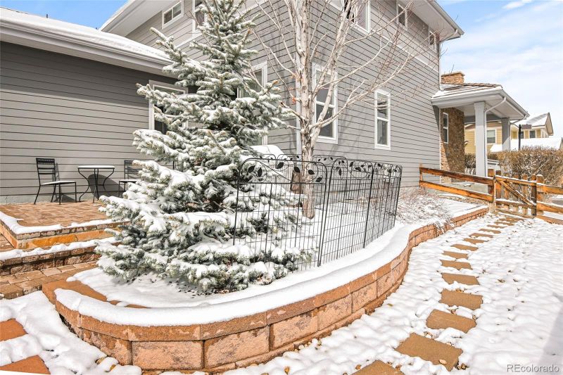 10475 Rutledge St, Parker, CO 80134