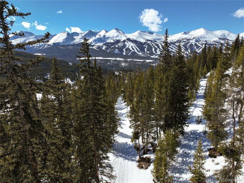 217 Goldenview Dr, Breckenridge, CO 80424