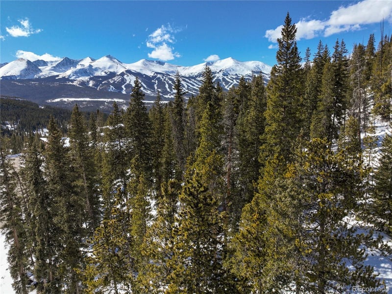 217 Goldenview Dr, Breckenridge, CO 80424