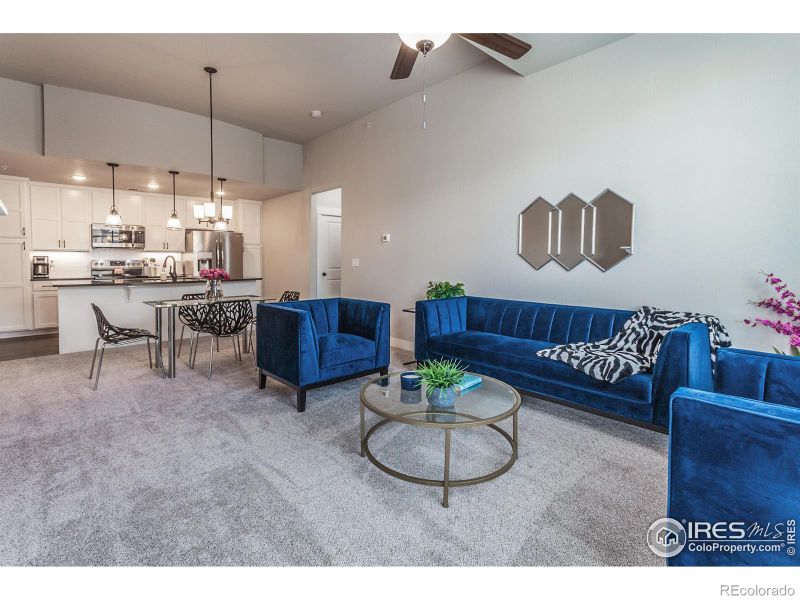 6582 Crystal Downs Dr #206, Windsor, CO 80550