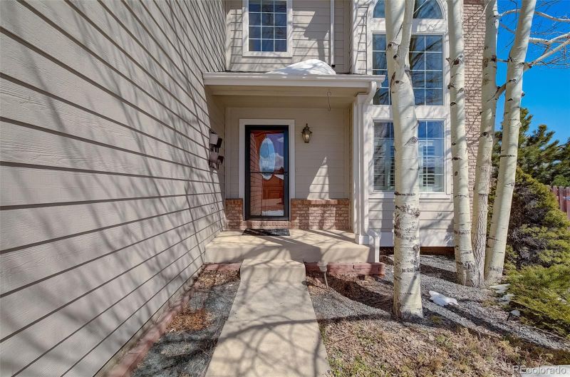 17216 Buffalo Valley Pa, Monument, CO 80132