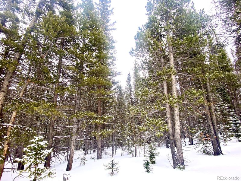 1234 Glory Hole Rd Lot 395, Idaho Springs, CO 80452
