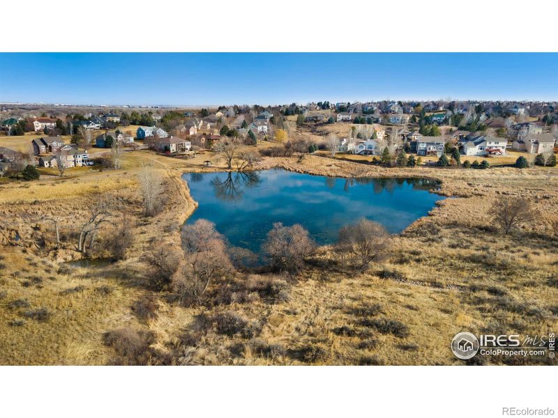834 Ridge West Dr, Windsor, CO 80550