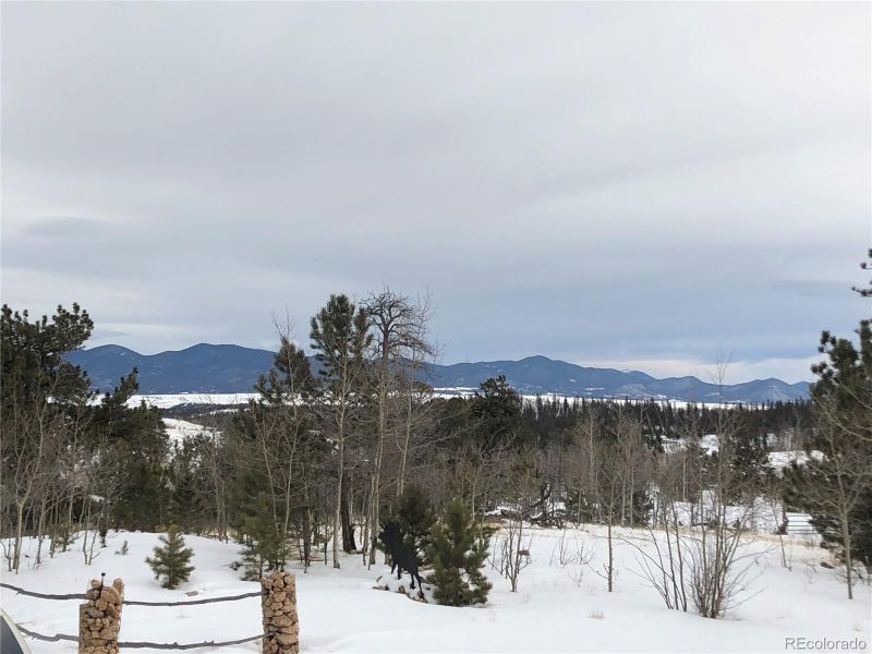 267 Pinto Trl, Como, CO 80432