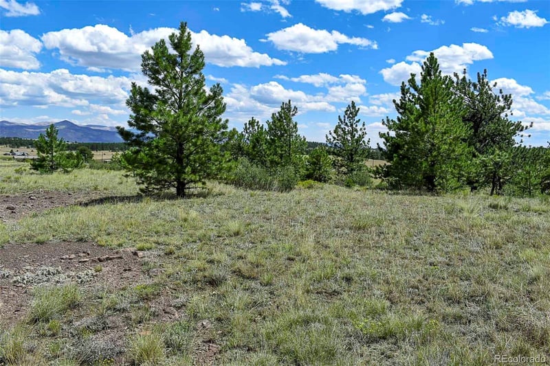 597 Meadow Ln, Guffey, CO 80820