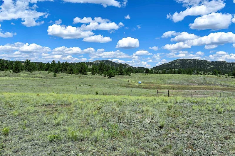597 Meadow Ln, Guffey, CO 80820