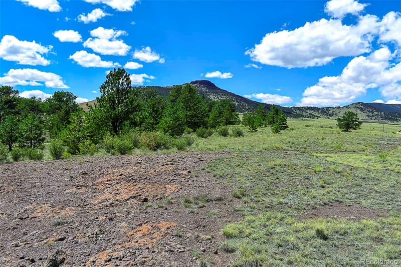 597 Meadow Ln, Guffey, CO 80820