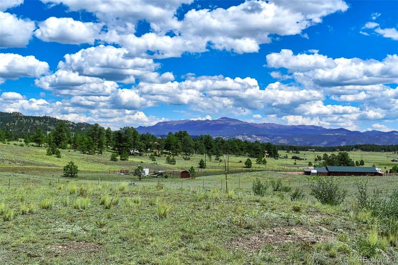 597 Meadow Ln, Guffey, CO 80820