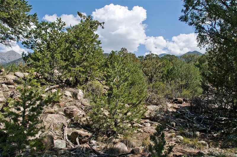 2222 Spanish Creek Rd, Crestone, CO 81131