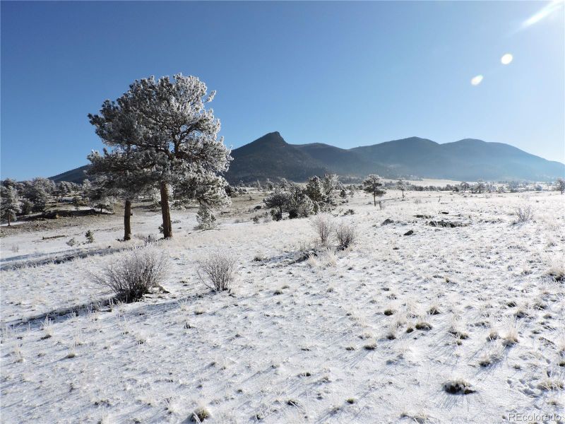 10620 Routt Rd, Hartsel, CO 80449