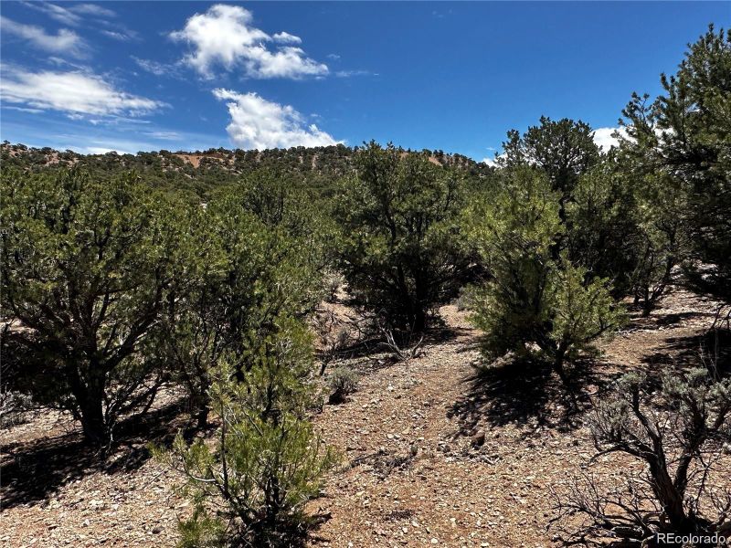 3776 Pierrepont Rd Lot 3776, Fort Garland, CO 81133
