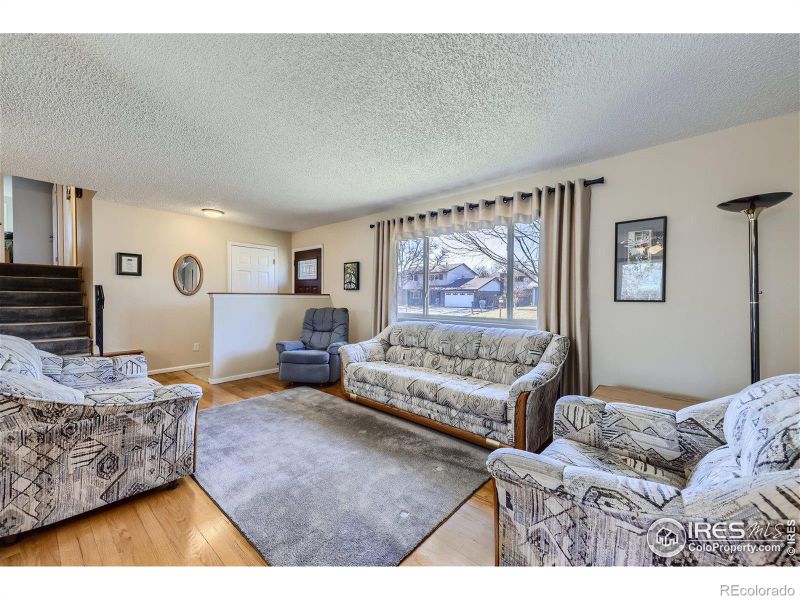 1336 S Francis St, Longmont, CO 80501