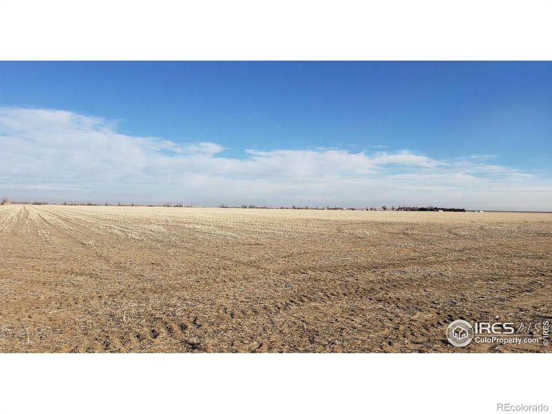 0 144th Ave, Wiggins, CO 80654