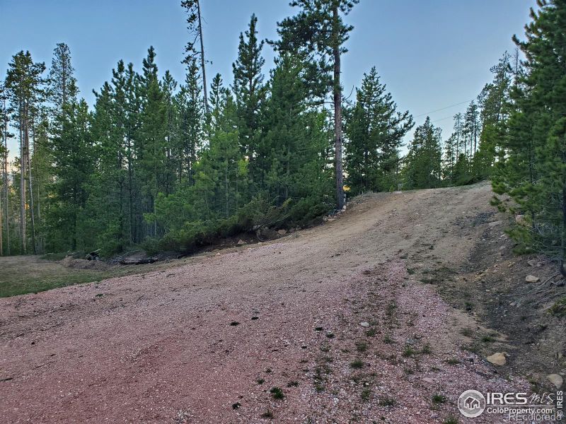 2997 Osage Trl, Red Feather Lakes, CO 80545