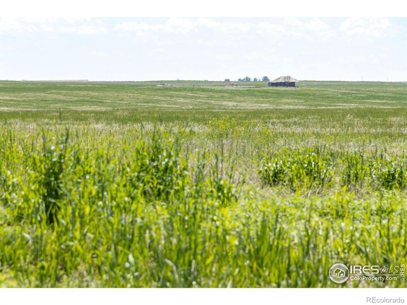 0 Cr 87, Briggsdale, CO 80611