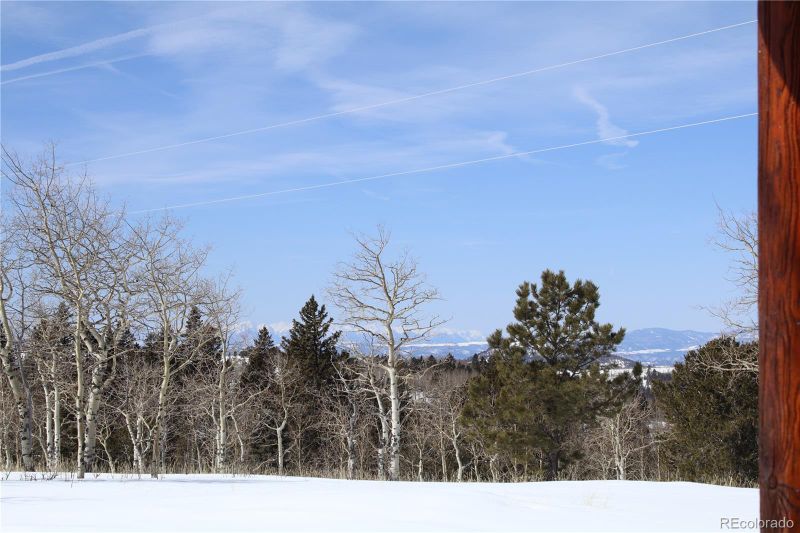 1327 Circle Dr #863, Woodland Park, CO 80863