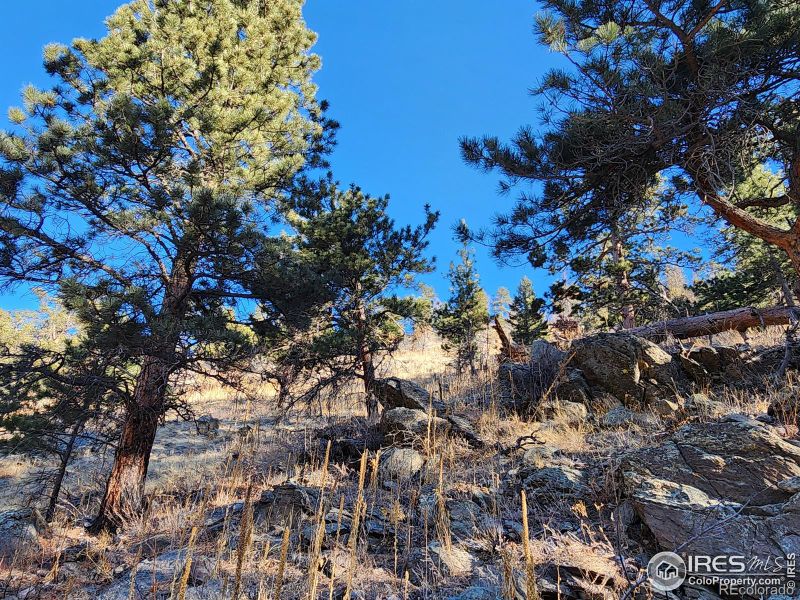 0 Dunraven Glade Rd, Glen Haven, CO 80532