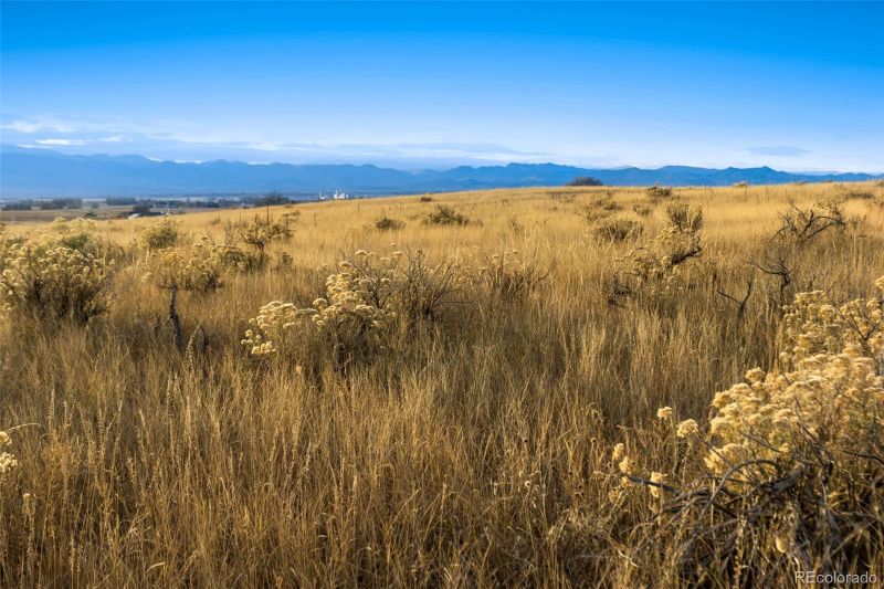 7899 County Road 84 Lot 8, Fort Collins, CO 80524
