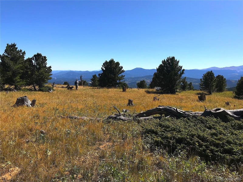 001 Upper Wide Awake Spur, Black Hawk, CO 80422