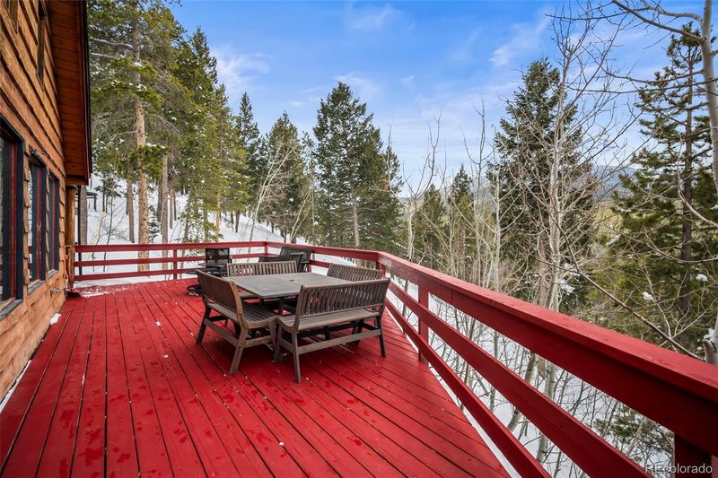 8513 Martin Ln, Conifer, CO 80433