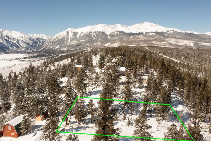 368 Mount Elbert Dr, Twin Lakes, CO 81251